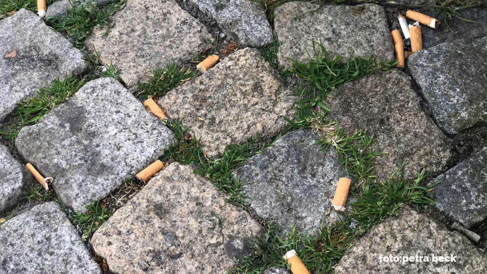 Zigarettenkippen liegen auf dem Boden zwischen eckigen Pflastersteinen