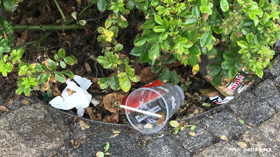Unter einem Rosenstrauch liegt weggeworfener Müll