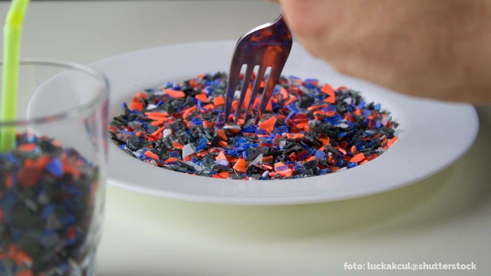 Ein Tiefer Teller mit kleinen blauen und roten Plastikteilchen und einer Gabel darin.