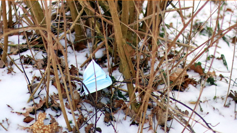 Eine blaue medizinische Maske liegt im Schnee in einem Gebüsch.