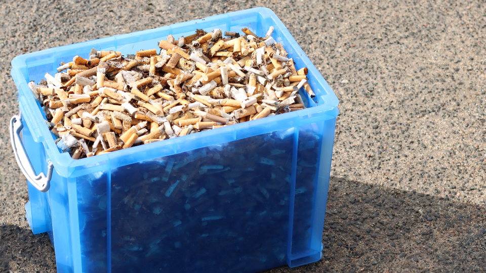 Eine ganze Kiste mit gesammelten Zigarettenkippen. Das sind ca. 30 Liter, die während einer Sammelaktion vom Aktionsforum Heikendorf zusammen gekommen sind.  